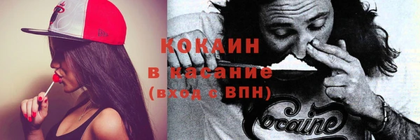 стаф Балахна