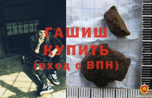 стаф Балахна