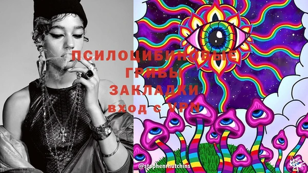 стаф Балахна