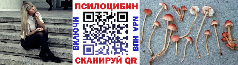 гидра ССЫЛКА  Лодейное Поле  Галлюциногенные грибы мухоморы 